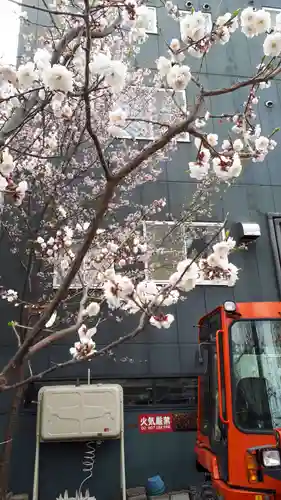 札幌諏訪神社の自然