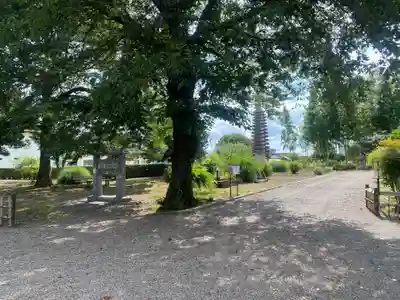 下野薬師寺 (旧 安國寺)(栃木県)