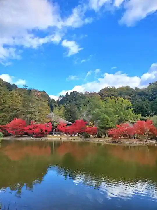 白水阿弥陀堂の庭園