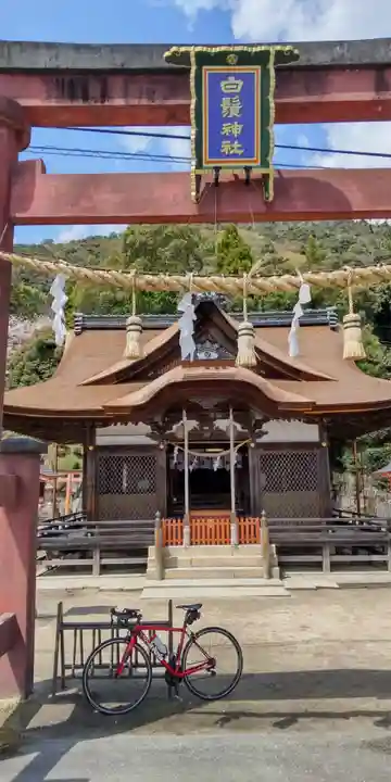 白鬚神社(滋賀県)
