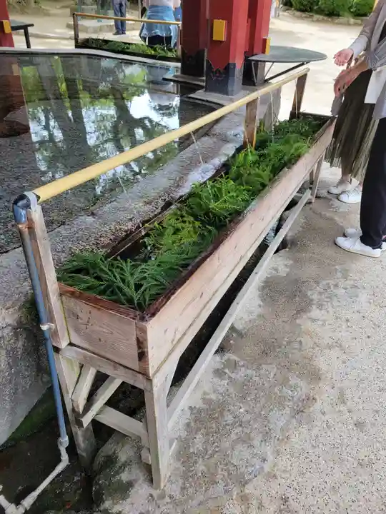 太宰府天満宮(福岡県)