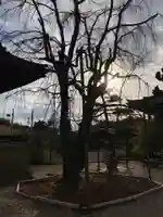 信明寺(三重県)