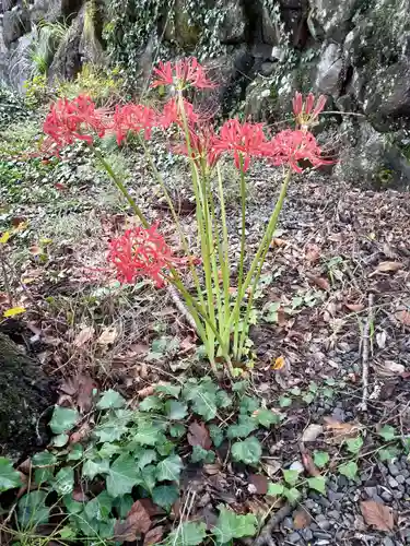 天王寺(福島県)