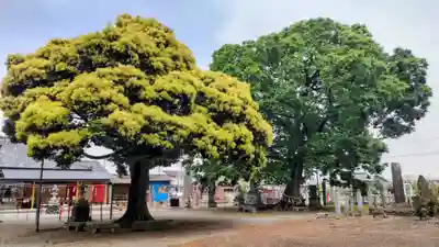 島田八坂神社(栃木県)