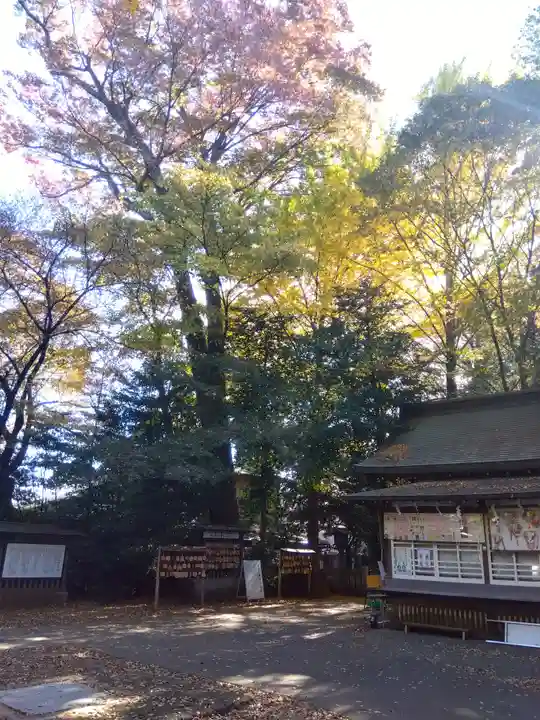 小平神明宮のその他建物