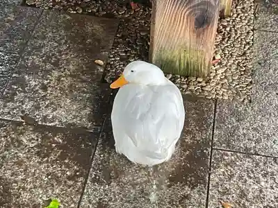 平塚八幡宮(神奈川県)