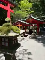 箱根神社の{uncategorized: "未分類", other: "その他", undefined: "問題あり", building: "その他建物", grave: "お墓", sacred_gate: "鳥居", guardian: "狛犬", statue: "像", buddha: "仏像", history: "歴史", nature: "自然", garden: "庭園", animal: "動物", pagoda: "塔", temizu: "手水舎", mountain_gate: "山門・神門", sanctuary: "本殿・本堂", subordinate: "末社・摂社", art: "芸術", scenery: "景色", jizo: "地蔵", ema: "絵馬", goshuin: "御朱印", omikuji: "おみくじ", items: "授与品その他", amulet: "お守り", goshuincho: "御朱印帳", eats: "食事", festival: "お祭り", votive_dance: "神楽", shichigosan: "七五三参", wedding: "結婚式", experience: "体験その他", initially: "初詣", around: "周辺", anti_infection: "感染症対策"}