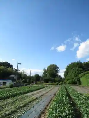 尾崎天神宮(千葉県)
