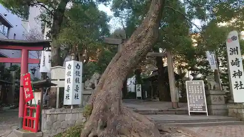 洲嵜神社の庭園