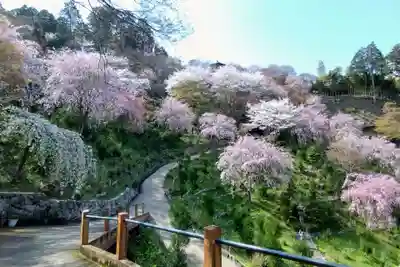 善峯寺(京都府)