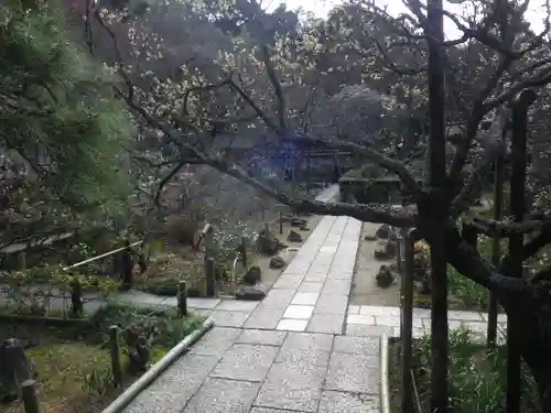 瑞泉寺の庭園