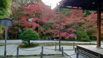 南禅寺の{uncategorized: "未分類", other: "その他", undefined: "問題あり", building: "その他建物", grave: "お墓", sacred_gate: "鳥居", guardian: "狛犬", statue: "像", buddha: "仏像", history: "歴史", nature: "自然", garden: "庭園", animal: "動物", pagoda: "塔", temizu: "手水舎", mountain_gate: "山門・神門", sanctuary: "本殿・本堂", subordinate: "末社・摂社", art: "芸術", scenery: "景色", jizo: "地蔵", ema: "絵馬", goshuin: "御朱印", omikuji: "おみくじ", items: "授与品その他", amulet: "お守り", goshuincho: "御朱印帳", eats: "食事", festival: "お祭り", votive_dance: "神楽", shichigosan: "七五三参", wedding: "結婚式", experience: "体験その他", initially: "初詣", around: "周辺", anti_infection: "感染症対策"}