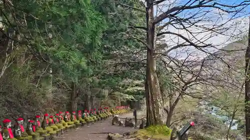 慈雲寺（並び地蔵　化け地蔵）(栃木県)