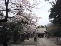 息栖神社の建物その他