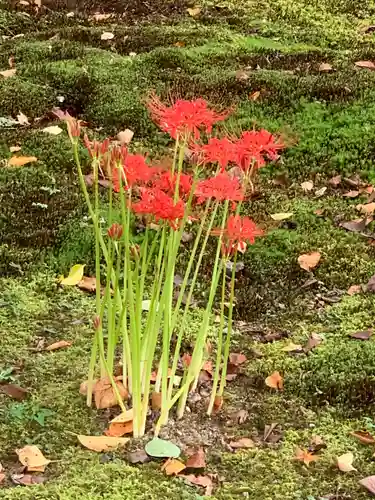 南禅寺(京都府)