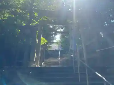 脇子八幡宮の{uncategorized: "未分類", other: "その他", undefined: "問題あり", building: "その他建物", grave: "お墓", sacred_gate: "鳥居", guardian: "狛犬", statue: "像", buddha: "仏像", history: "歴史", nature: "自然", garden: "庭園", animal: "動物", pagoda: "塔", temizu: "手水舎", mountain_gate: "山門・神門", sanctuary: "本殿・本堂", subordinate: "末社・摂社", art: "芸術", scenery: "景色", jizo: "地蔵", ema: "絵馬", goshuin: "御朱印", omikuji: "おみくじ", items: "授与品その他", amulet: "お守り", goshuincho: "御朱印帳", eats: "食事", festival: "お祭り", votive_dance: "神楽", shichigosan: "七五三参", wedding: "結婚式", experience: "体験その他", initially: "初詣", around: "周辺", anti_infection: "感染症対策"}