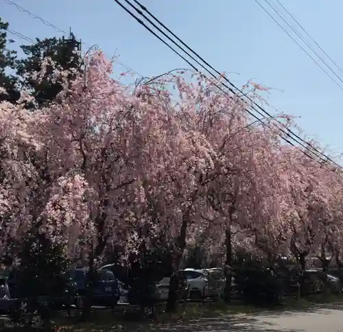 椿大神社の自然