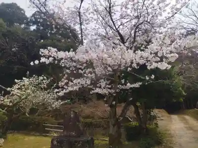 金剛王院(京都府)
