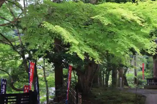 清水寺の自然