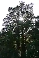 河内神社(高知県)