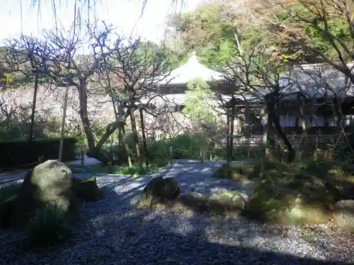 瑞泉寺の庭園