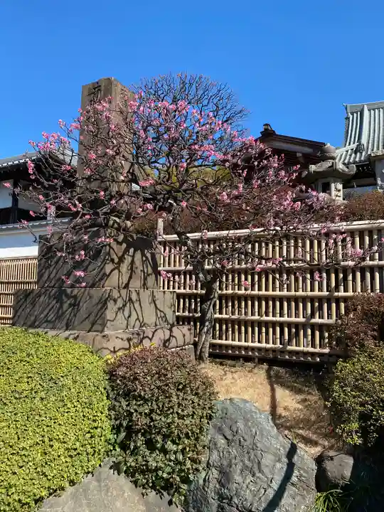 妙蓮寺(神奈川県)