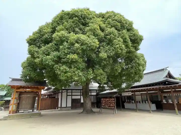 佐嘉神社・松原神社(佐賀県)
