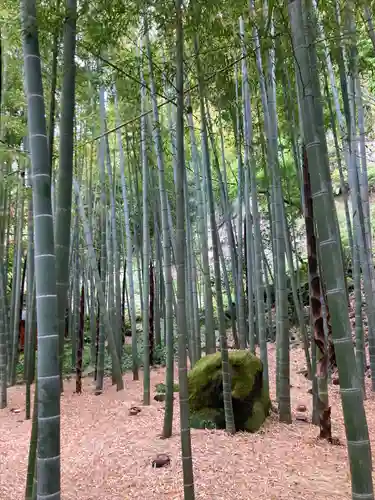 報国寺(神奈川県)