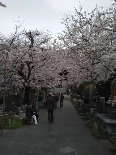 浄心寺(東京都)