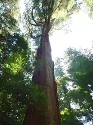 高千穂神社(宮崎県)