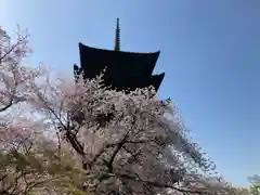 東寺（教王護国寺）(京都府)