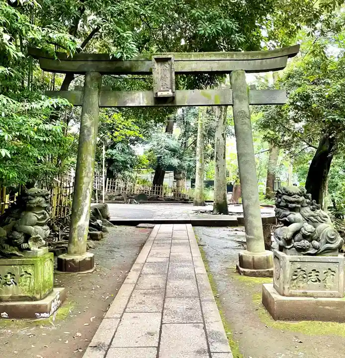 渋谷氷川神社の鳥居