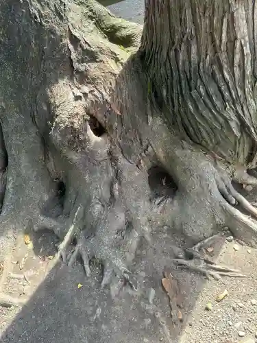春日神社(福井県)