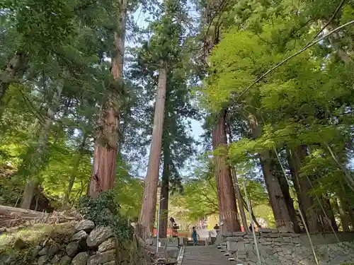 金櫻神社(山梨県)