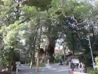 來宮神社のその他建物