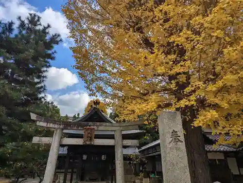 御香宮神社の鳥居