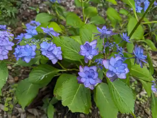 姫之宮奥宮(愛知県)