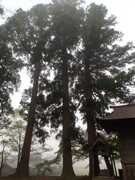 長田神社の自然