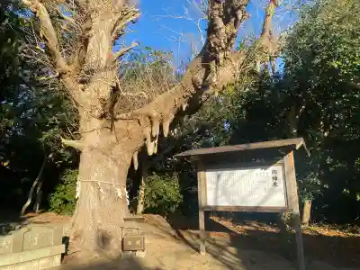 鎌数伊勢大神宮の{uncategorized: "未分類", other: "その他", undefined: "問題あり", building: "その他建物", grave: "お墓", sacred_gate: "鳥居", guardian: "狛犬", statue: "像", buddha: "仏像", history: "歴史", nature: "自然", garden: "庭園", animal: "動物", pagoda: "塔", temizu: "手水舎", mountain_gate: "山門・神門", sanctuary: "本殿・本堂", subordinate: "末社・摂社", art: "芸術", scenery: "景色", jizo: "地蔵", ema: "絵馬", goshuin: "御朱印", omikuji: "おみくじ", items: "授与品その他", amulet: "お守り", goshuincho: "御朱印帳", eats: "食事", festival: "お祭り", votive_dance: "神楽", shichigosan: "七五三参", wedding: "結婚式", experience: "体験その他", initially: "初詣", around: "周辺", anti_infection: "感染症対策"}