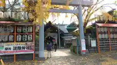 波除神社（波除稲荷神社）の鳥居