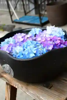 般若寺 ❁コスモス寺❁の手水舎