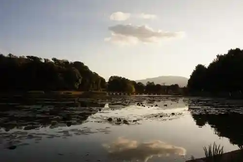 橿原神宮の自然