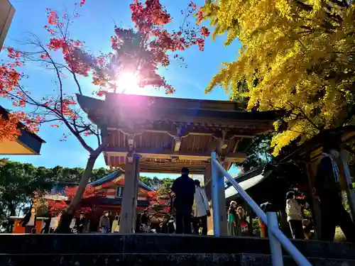 紅葉八幡宮の山門・神門