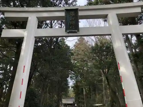 雄山神社前立社壇の鳥居