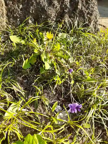 伏木香取神社の自然
