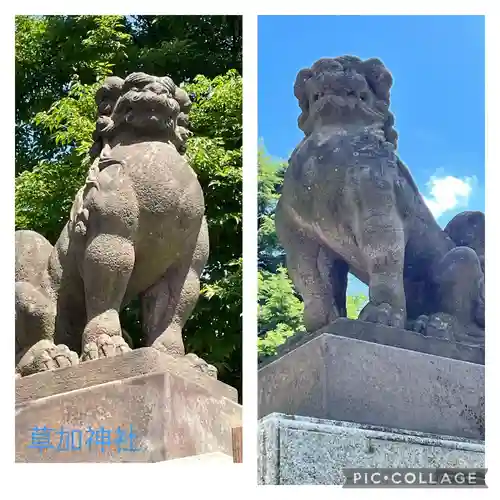 草加神社の狛犬