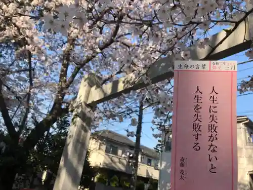 大泉氷川神社の自然