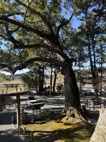 事任八幡宮(静岡県)