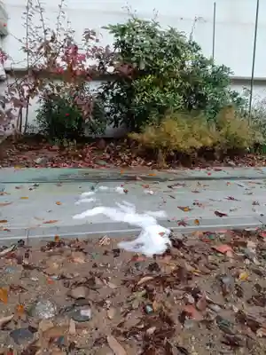 白狐山光星寺(山形県)