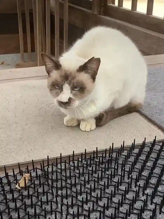 椿神明社(愛知県)